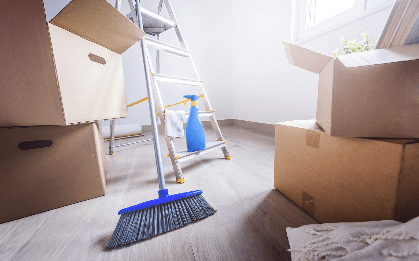 Move-In and Move-Out Cleaning Services